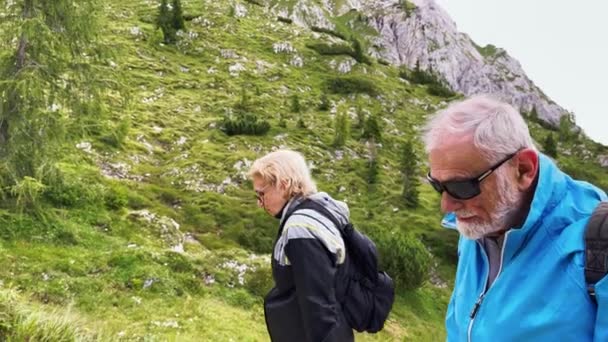 Coppia anziana durante un'escursione in montagna sulle Alpi, stagione estiva — Video Stock