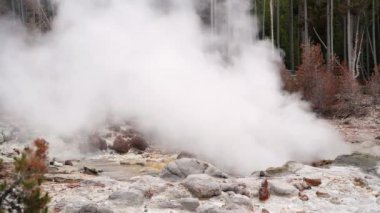Yellowstone Ulusal Parkı 'ndaki Mammoth Kaplıcaları buharı, ABD