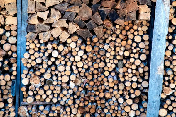 Closeup Logs Trees Nature Lot Cutted Logs — Stock Photo, Image