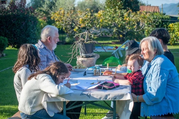 Avós Netos Brincando Juntos Livre Uma Tarde Ensolarada Jogos Mesa — Fotografia de Stock