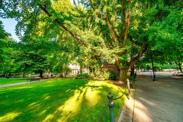 Portland August 2017 Turister Längs Vacker Stadspark — Stockfoto