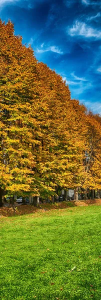 Lucca Nın Ağaçları Sonbahar Renkleri Talya — Stok fotoğraf