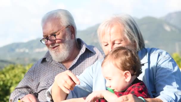 Dziadkowie i wnuki bawią się razem i relaksują się na świeżym powietrzu w piękne słoneczne popołudnie na podwórku — Wideo stockowe