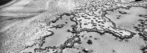 Φυσικός Μεγάλος Κοραλλιογενής Ύφαλος Στο Κουίνσλαντ Εναέρια Θέα Του Παραδείσου — Φωτογραφία Αρχείου