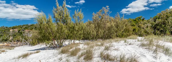 Belle Plage Avec Végétation Ciel Bleu Avec Nuages Vue Sur — Photo