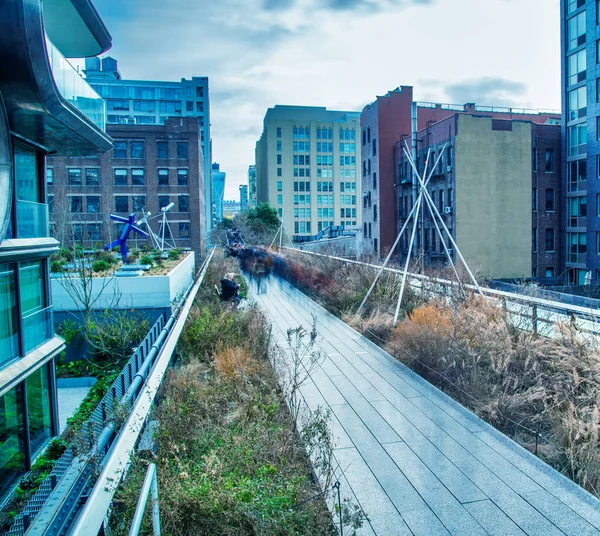 Хай Лайн Зимой Манхэттен Люди Движутся Размытый Вид Длительное Воздействие — стоковое фото