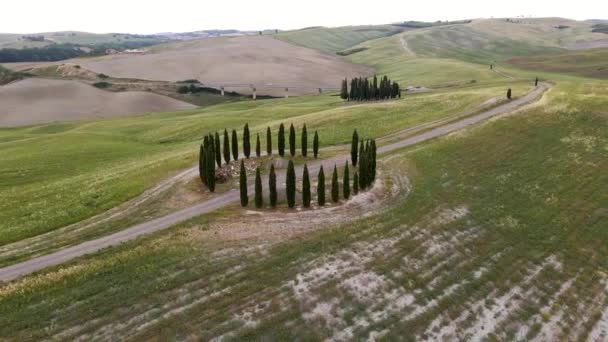 Gruppo di Cipressi in Toscana. Vista aerea circolare della Val d'Orcia, Italia — Video Stock