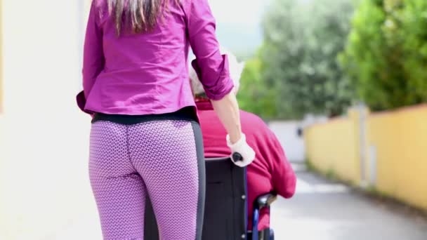 Vista trasera de una joven mujer que asiste a su madre discapacitada en silla de ruedas en el parque de la ciudad. — Vídeos de Stock