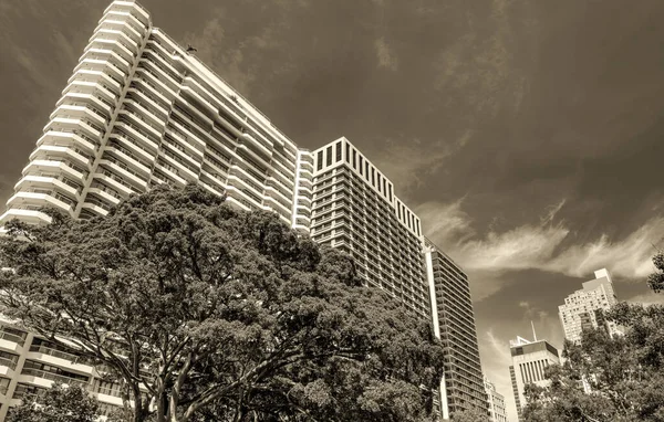 Sydney Skyline Par Une Belle Journée Ensoleillée — Photo