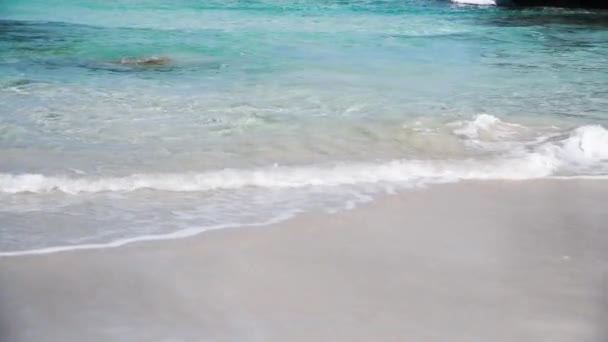 Мирный пляж и волны, концепция отдыха — стоковое видео