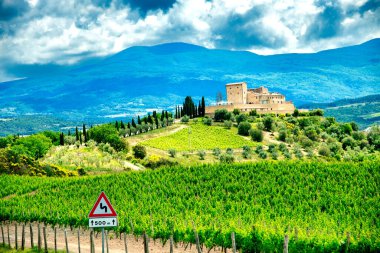 Bir tepenin üstündeki antik şato