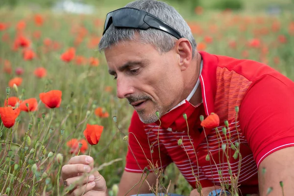 Man Sniffing Red Poppy Middle Beautiful Poppies Meadow Spring Season — Stock Photo, Image