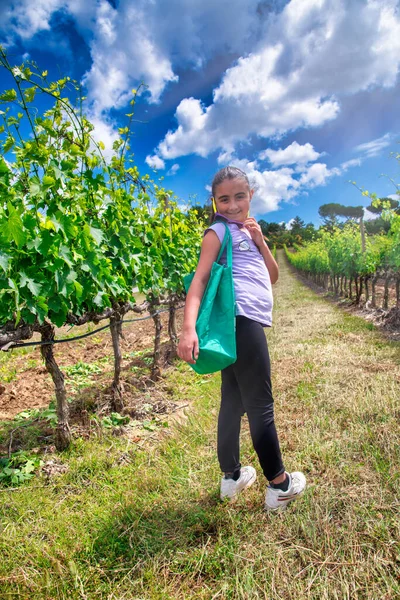 Glad Ung Flicka Ler Australiska Vingårdar — Stockfoto