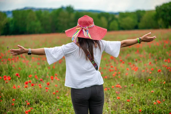 美しい女性のバックビューの藁帽子を身に着けていると春の季節にケシの牧草地を受け入れる — ストック写真
