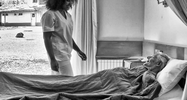 Genç Afrikalı Kadın Doktor Hastane Yatağında Yaşlı Bir Adama Yardım — Stok fotoğraf