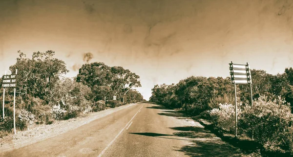 Ormanın Karşısındaki Asfaltlanmamış Kirli Yol Arabanın Önünde Yarış — Stok fotoğraf