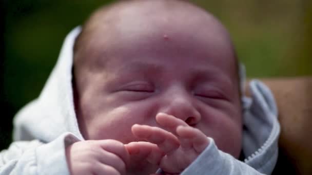 Újszülött gyerek fekszik az apák karján a városi parkban. — Stock videók