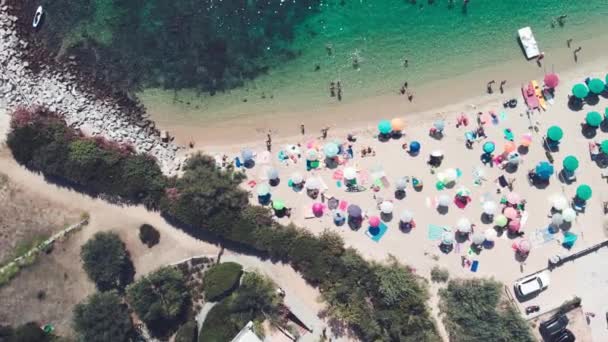 Aerial overhead view of lined beach umbrellas on a tropical beach — Stock Video