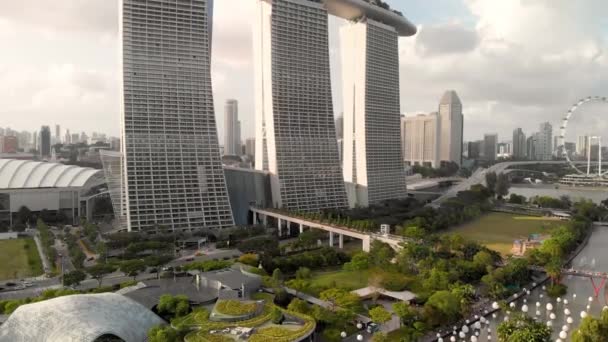 SINGAPUR - 2 DE ENERO DE 2020: Paisaje aéreo de la ciudad de Gardens by the Bay en un día soleado — Vídeos de Stock