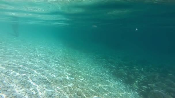 Zanurzenie się pod wodą w pięknym krajobrazie morskim, zwolnione tempo — Wideo stockowe