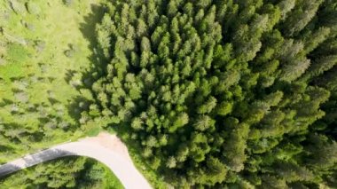 Yaz mevsiminde güzel dağ ağaçlarının havadan görünüşü