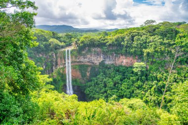 Chamarel Şelalesi Mauritius 'un tropikal ada ormanında