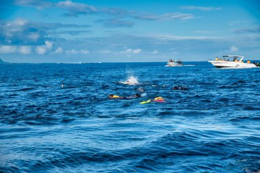 MAURITIUS - 2 Mayıs 2021: Ada boyunca bir şnorkel turu sırasında turistler