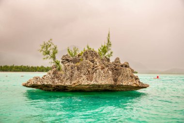 Kristal kaya, Mauritius kıyı şeridinin önündeki ıssız bir kayadır.