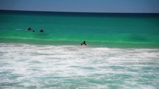 BONDI BEACH, AUSTRALYA - 18 Ağustos 2018: Güneşli bir günde sörfçüler ve dalgalar — Stok video