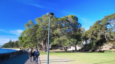SYDNEY, AUSTRALYA - 19 Ağustos 2018: Güneşli bir günde Kraliyet Botanik Bahçeleri ve turistlerin panoramik manzarası