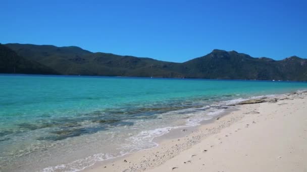 Whitsunday Islands Beach an einem sonnigen Tag, Queensland — Stockvideo