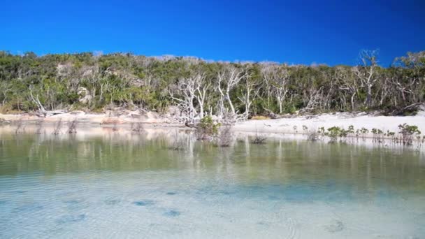 Whitsunday Islands Beach в солнечный день, Квинсленд — стоковое видео