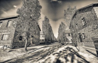 Auschwitz-Birkenau İkinci Dünya Savaşı ve Soykırım sırasında işgal edilen Polonya 'daki toplama kampı..