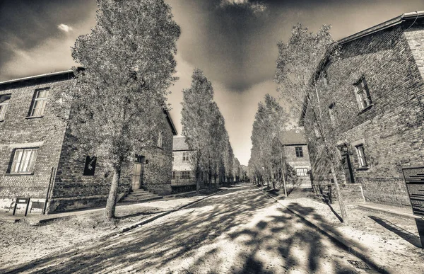 Auschwitz Birkenau Koncentrációs Tábor Megszállt Lengyelországban Második Világháború Holokauszt Idején — Stock Fotó