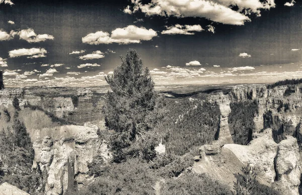 Bryce Canyon Landschaft Einem Schönen Sommertag Utah Rundumblick — Stockfoto