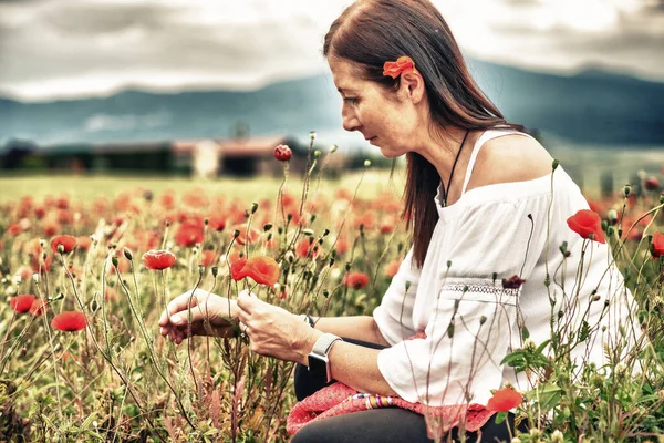 Bahar Mevsiminde Güzel Bir Gelincik Otlağının Ortasında Kırmızı Bir Gelinciğe — Stok fotoğraf