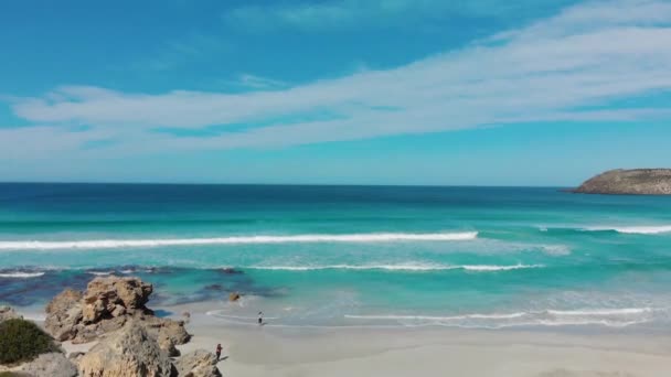 Pennington Bay es una maravillosa playa en Kangaroo Island, Australia Meridional. Vista aérea desde el dron — Vídeo de stock