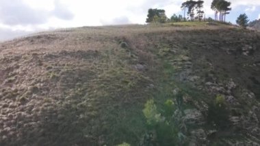 İtalya, Sicilya kırsalındaki Segesta Tapınağı. İHA 'dan hava görüntüsü