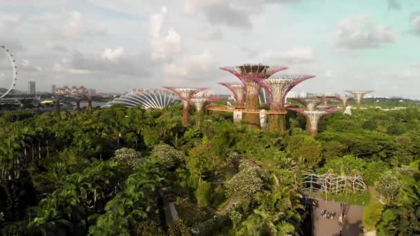 新加坡从空中起飞。在美丽的阳光明媚的下午，码头公园旁边的花园 — 图库视频影像
