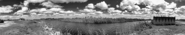 エバーグレーズ国立公園湿地 パノラマビューパノラマビュー — ストック写真