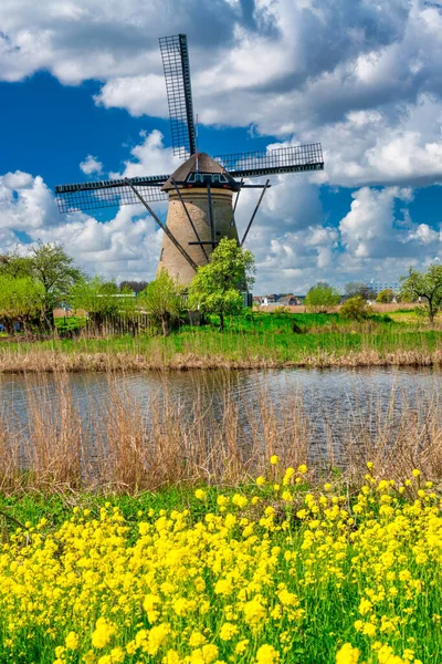 Kinderdijk Windmill Sunny Spring Day Pays Bas — Photo