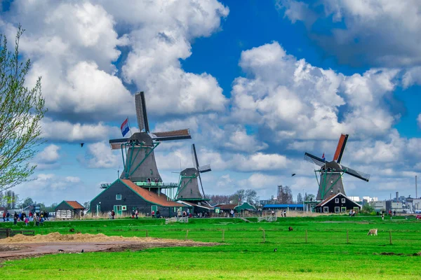 Zaanse Schans Netherlands April 27Th 2015 Famous Windmills Warehouses Workshops — Stock Photo, Image