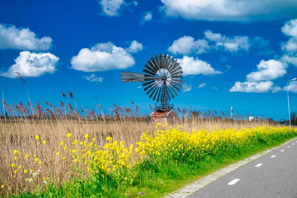 Старий Вітряк Сільській Дорозі Нідерланди — стокове фото