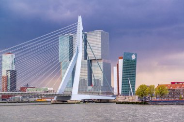 Hollanda, Rotterdam 'daki Meuse nehri üzerindeki Erasmus köprüsü.