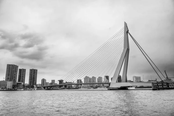 Rotterdam Nederland April 2015 Erasmusbrug Rivier — Stockfoto