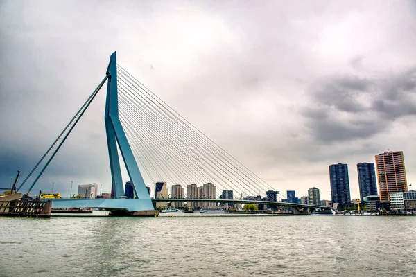Hollanda Rotterdam Daki Meuse Nehri Üzerindeki Erasmus Köprüsü — Stok fotoğraf