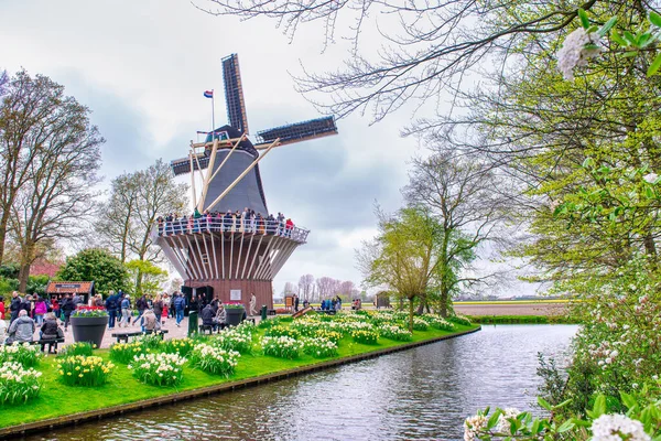 Amsterdam Netherlands April 26Th 2015 Keukenhof Tulip Gardens Windmill Spring — Stock Photo, Image