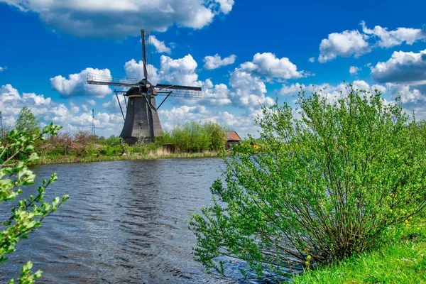 Kinderdijk Ανεμόμυλος Μια Ηλιόλουστη Ανοιξιάτικη Μέρα Ολλανδία — Φωτογραφία Αρχείου