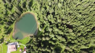 Yaz mevsiminde Alpin Gölü tepeden aşağıya doğru uzanan güzel ormanlarla çevrilidir.