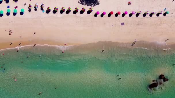 Overhead εναέρια άποψη του πολύχρωμα τροπική παραλία — Αρχείο Βίντεο